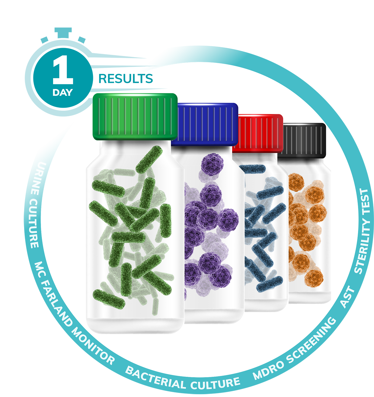 laserscattering_1day_results_SMALL_en